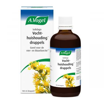 A. Vogel Solidago Complex Tropfen 100 ml