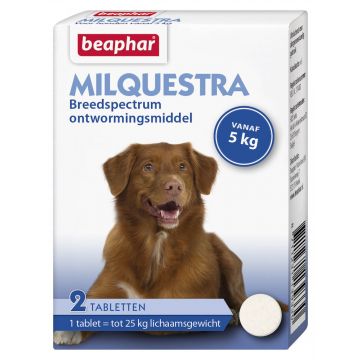 Beaphar Milquestra Wurm Tabletten Hund 2 Tabletten ab 5 kg