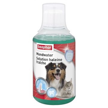 Beaphar Mundspülung Hund/Katze 250ml