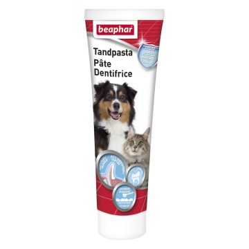 Beaphar Zahnpasta Hunde und Katzen 100g