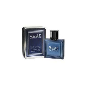 Linn Young Blue Window for men edt 100ml