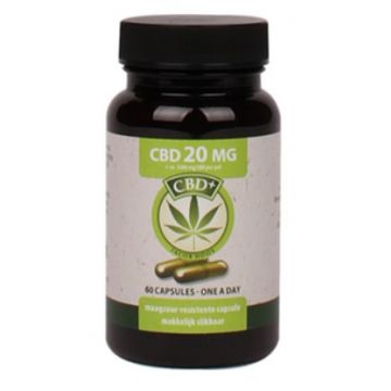 Jacob Hooy CBD+ cbd 20 mg 60 capsules