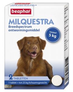 Beaphar Milquestra Wurm Tabletten Hund 2 Tabletten ab 5 kg